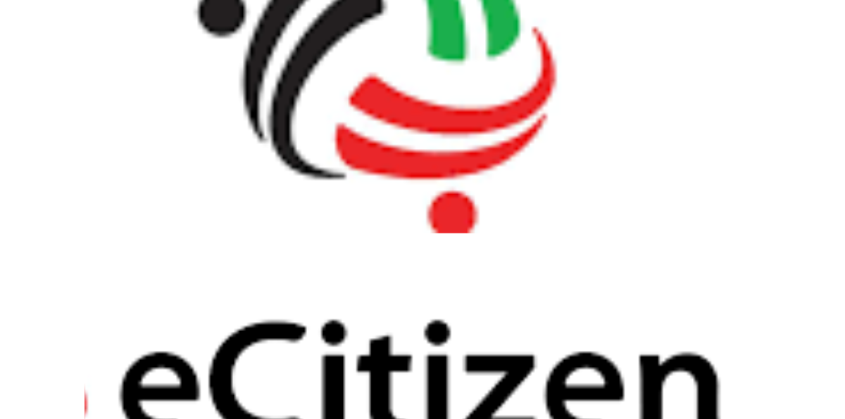ECITIZEN SERVICES